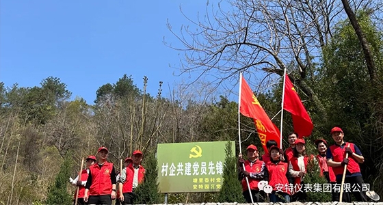 党建强引领，，，共植先锋林