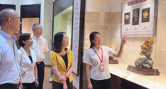 探索东方风范，，，pp电子·倪东方艺术博物馆与时代脉搏共振